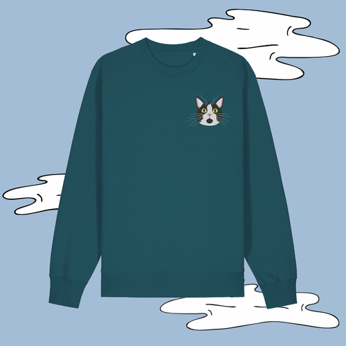 Teal sweatshirt with a cat face design on a blue background